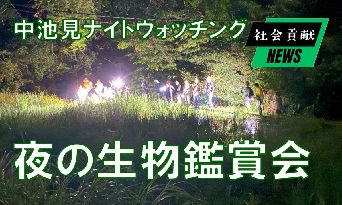 夜の生物鑑賞会